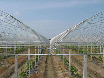 無(wú)錫大棚管應(yīng)用案例