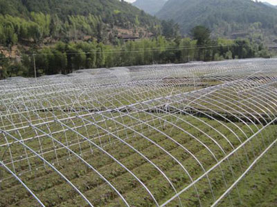 熱鍍鋅大棚管應(yīng)用案例