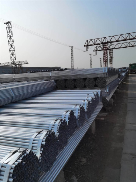 養(yǎng)殖大棚管